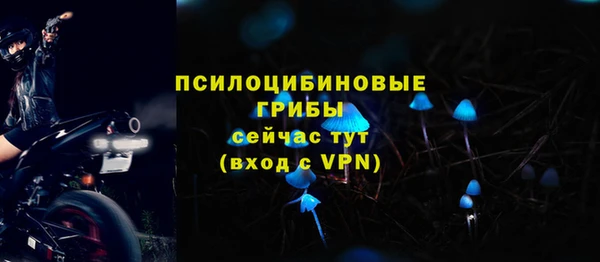 мяу мяу мука Армянск