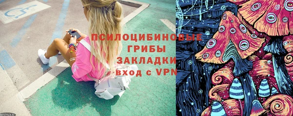 гашик Нязепетровск